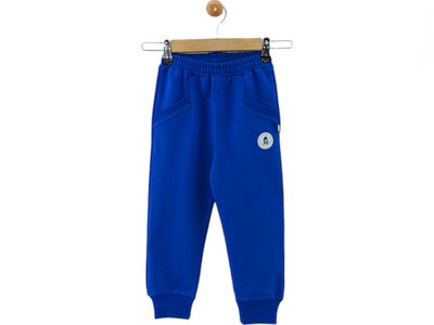 Спортивные детские штаны для мальчиков 1-4 года (двунитка) М393318